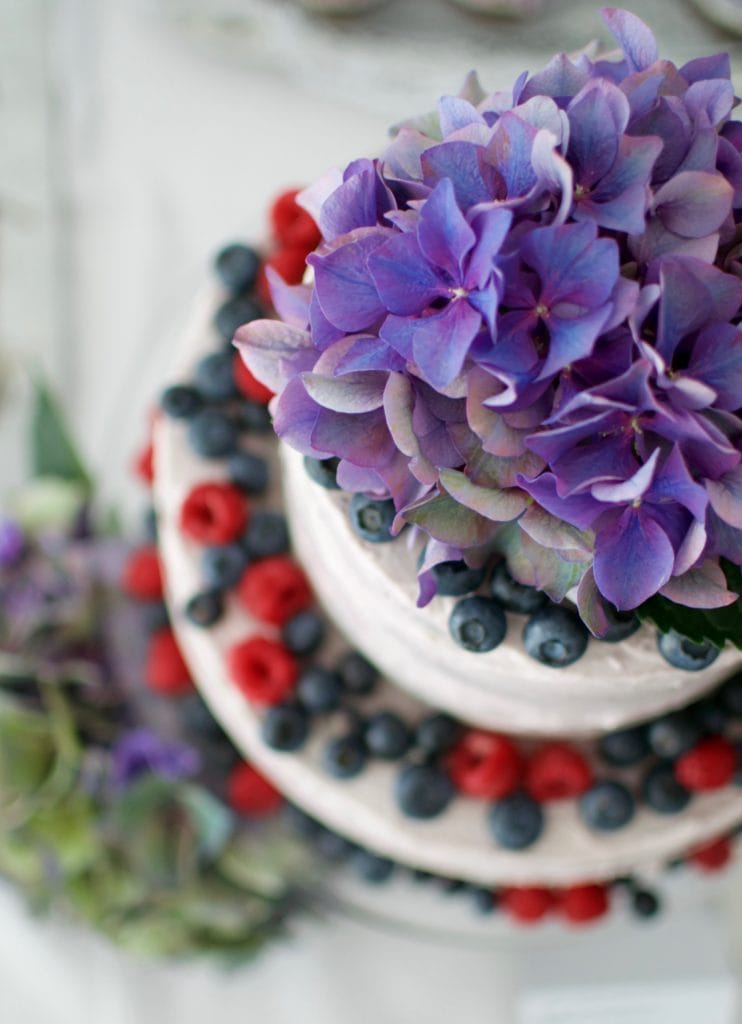 Schoko-Apfelmus Torte mit Blaubeercurd und Mascarpone